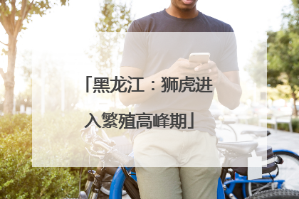 黑龙江：狮虎进入繁殖高峰期