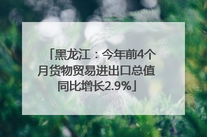 黑龙江：今年前4个月货物贸易进出口总值同比增长2.9%
