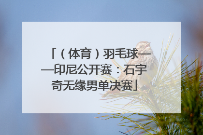 （体育）羽毛球——印尼公开赛：石宇奇无缘男单决赛