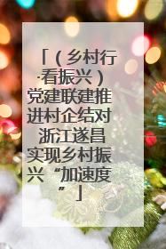 （乡村行·看振兴）党建联建推进村企结对 浙江遂昌实现乡村振兴“加速度”