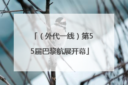（外代一线）第55届巴黎航展开幕