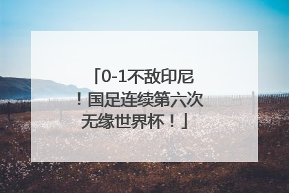 0-1不敌印尼！国足连续第六次无缘世界杯！