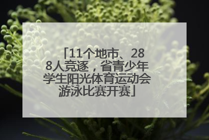11个地市、288人竞逐，省青少年学生阳光体育运动会游泳比赛开赛