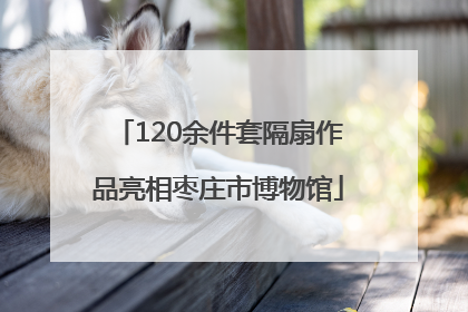 120余件套隔扇作品亮相枣庄市博物馆