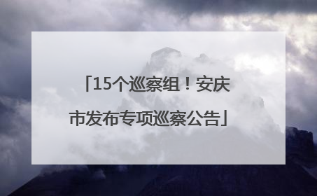 15个巡察组！安庆市发布专项巡察公告