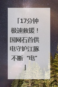 17分钟极速救援！国网石首供电守护江豚不断“电”