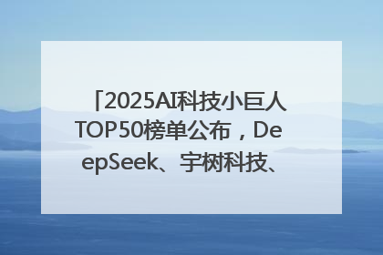 2025AI科技小巨人TOP50榜单公布，DeepSeek、宇树科技、蘑菇车联等企业荣誉上榜