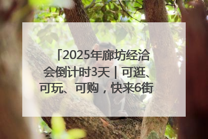 2025年廊坊经洽会倒计时3天｜可逛、可玩、可购，快来6街16巷逛市集