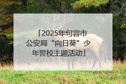 2025年句容市公安局“向日葵”少年警校主题活动