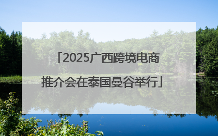 2025广西跨境电商推介会在泰国曼谷举行