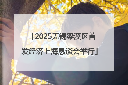 2025无锡梁溪区首发经济上海恳谈会举行