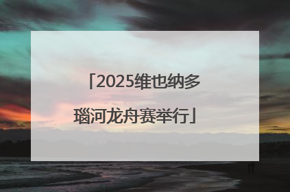 2025维也纳多瑙河龙舟赛举行