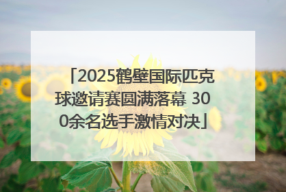 2025鹤壁国际匹克球邀请赛圆满落幕 300余名选手激情对决