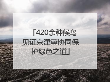 420余种候鸟见证京津冀协同保护绿色之道