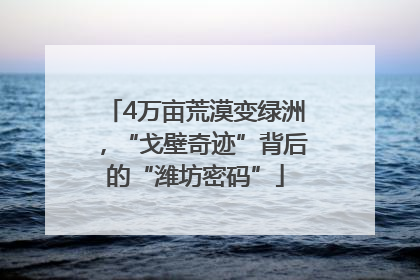 4万亩荒漠变绿洲，“戈壁奇迹”背后的“潍坊密码”