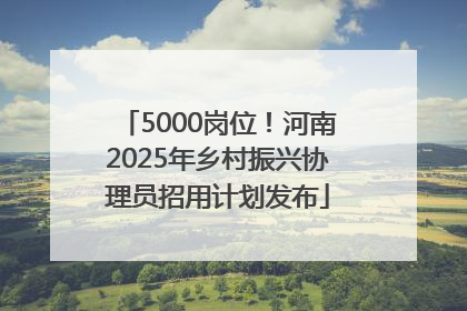 5000岗位！河南2025年乡村振兴协理员招用计划发布