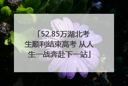 52.85万湖北考生顺利结束高考 从人生一战奔赴下一站