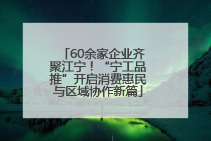 60余家企业齐聚江宁！“宁工品推”开启消费惠民与区域协作新篇