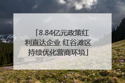 8.84亿元政策红利直达企业 红谷滩区持续优化营商环境