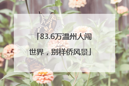 83.6万温州人闯世界，别样侨风景