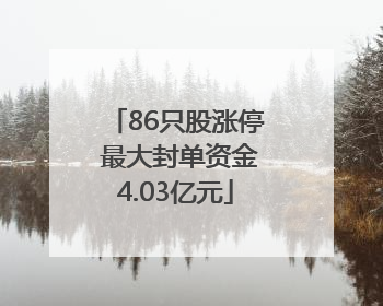 86只股涨停 最大封单资金4.03亿元