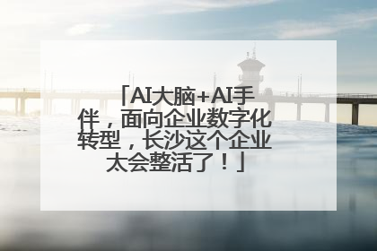 AI大脑+AI手伴，面向企业数字化转型，长沙这个企业太会整活了！