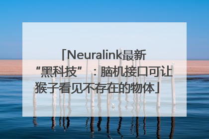Neuralink最新“黑科技”：脑机接口可让猴子看见不存在的物体
