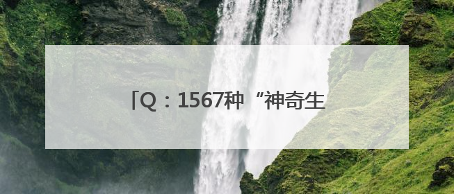 Q：1567种“神奇生物”在哪里？A：海淀！